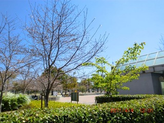20110404-CIMG0692