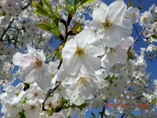 20110406-CIMG0703