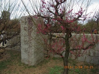 20120226-R0010882