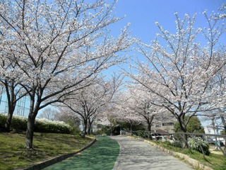 20120408-P4080988