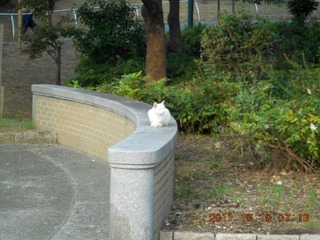 20111010a-DSCN0075