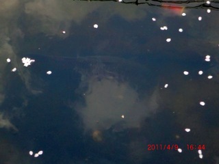 20110409-CIMG0759