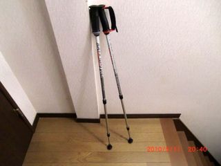 20100511-CIMG1541�ݡ��륦��������2