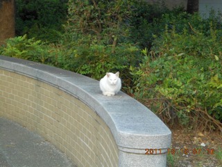 20111010a-DSCN0076
