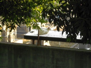 20111028-DSCN0233