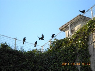 20111005-DSCN0033