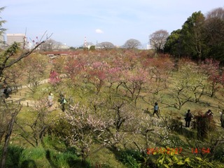 20110227a-CIMG0256