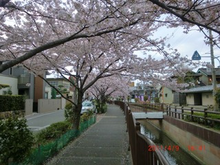 20110409-CIMG0757