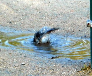 20111031-DSCN0246