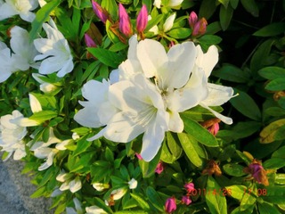 20110427-CIMG0937