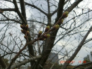 20110321-CIMG0431