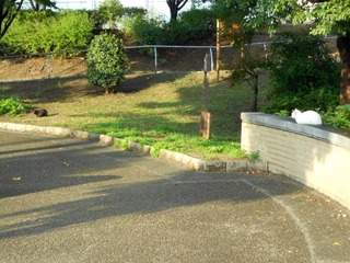 20111031-DSCN0235