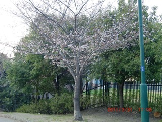 20110331-CIMG2951
