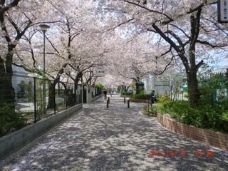20110413-CIMG0838