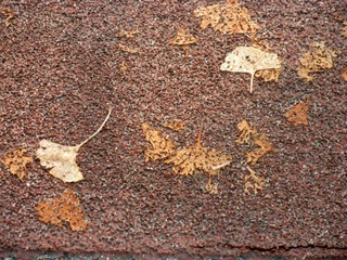 20120124a-P1220750