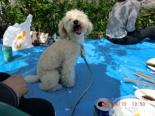 20110410-CIMG0793