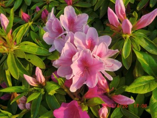 20110427-CIMG0936