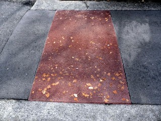 20120124a-P1220748