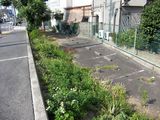 20090805-CIMG2065
