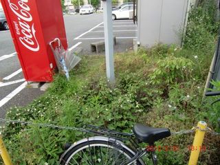 20100521-CIMG1617��־�1