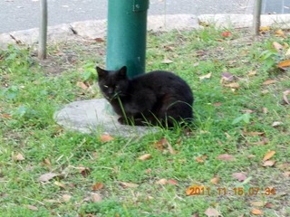 20111115-DSCN0072