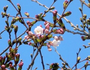 20110328-CIMG0507