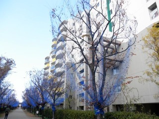 20111214a-PC130429