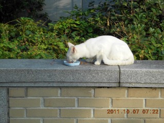 20111007d-DSCN0056