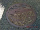 20100113-CIMG0260榛原MH