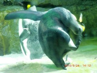 20100924-CIMG2391