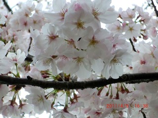 20110409-CIMG0753