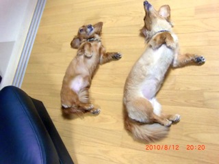 20100812-CIMG2293