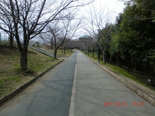 20110303-CIMG0289