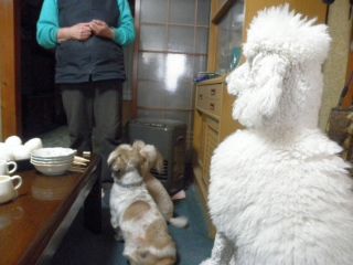 20120408-P4081002