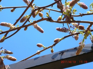 20110413-CIMG0841
