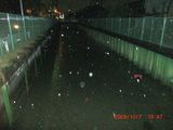 20091007-CIMG2417