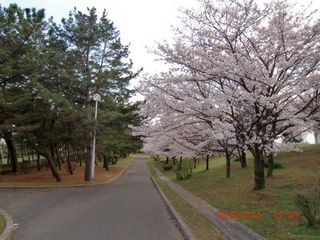 20100402-CIMG1325�󿧺���