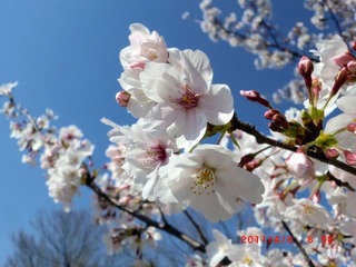 20110406-CIMG0702