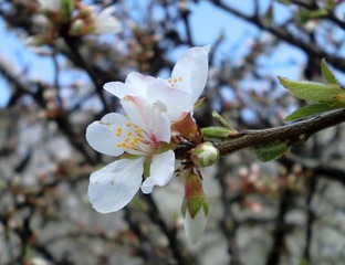 20110323-CIMG0471