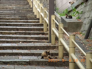 20110505-R0010009