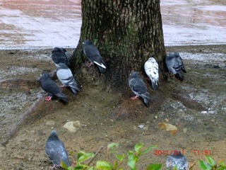 20110301-CIMG0270