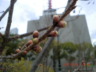 20110225-CIMG0224