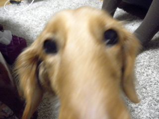 20120113c-P1110682