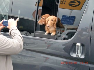 20101128-CIMG2529