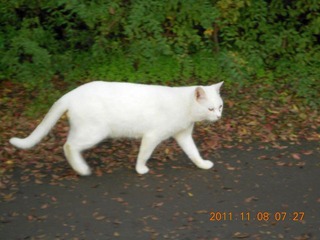 20111108-DSCN0286