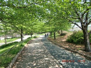 20100502-CIMG1507ç������