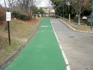 20120121e-P1210744