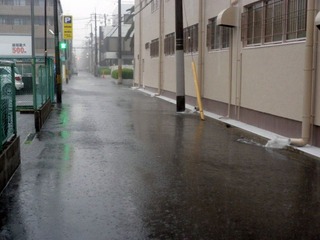 20111119-PB190253