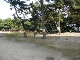 20120113a-P1110668
