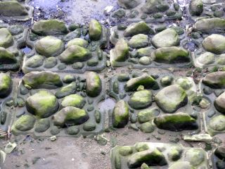 20120202-P1290810